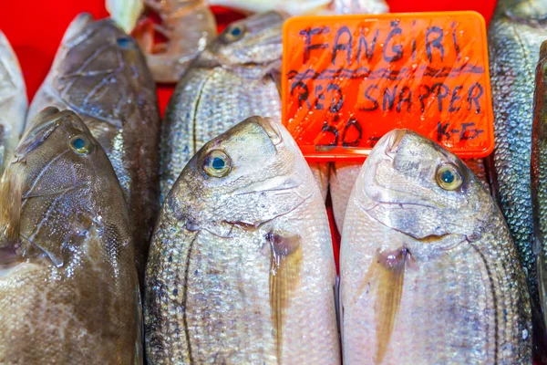 Vários Peixes Frescos Frutos Mar Mercado Peixe — Fotografia de Stock