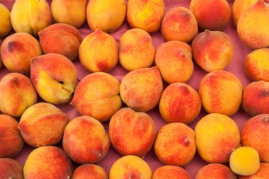 Türkiye pazarına geleneksel grubundaki olgun şeftali satışı