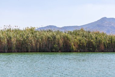 Dalyan nehir, Türkiye'nin kıyı. Dalyan resort