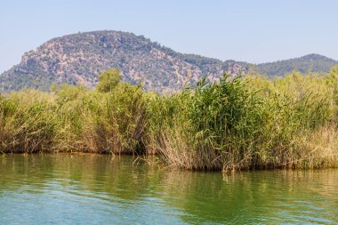 Dalyan nehir, Türkiye'nin kıyı. Dalyan resort