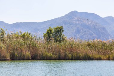 Dalyan nehir, Türkiye'nin kıyı. Dalyan resort