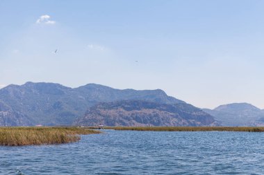 Dalyan nehir, Türkiye'nin kıyı. Dalyan resort
