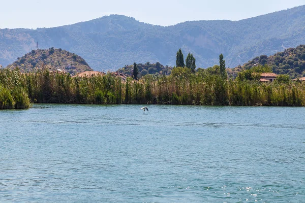 Dalyan nehir, Türkiye'nin kıyı. Dalyan resort