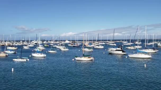 Segelboote Und Yachten Hafen Einem Sonnigen Tag Kalifornien Lizenzfreies Stock-Filmmaterial