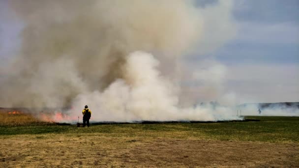 草火规定燃烧草原恢复与消防员在前景 — 图库视频影像