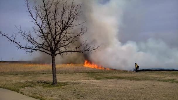 草火野火规定燃烧与火焰和烟雾 慢动作 背景的消防队员烟雾 烟雾龙卷风形成在前景 棕色和白色烟雾 明亮的橙色火焰 — 图库视频影像