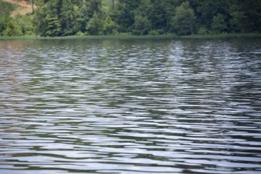 Göl su kıyısındaki uzakta küçük bir bölümü ile