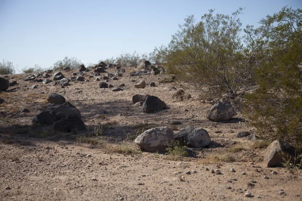 Desierto — Foto de Stock