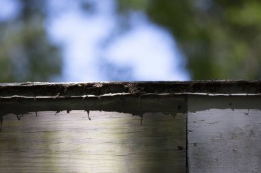 Düz Çatı Kaplama Panosu