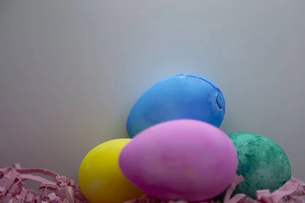 Paskalya Otu paskalya yumurtaları — Stok fotoğraf