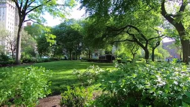 Union Square Park New York 1 — Stok video