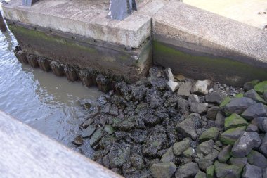 New York'ta East River boyunca beton bir patikayı destekleyen çeşitli yöntemler Long Island City, New York'taki Gantry Plaza State Park'ta belirgindir.  