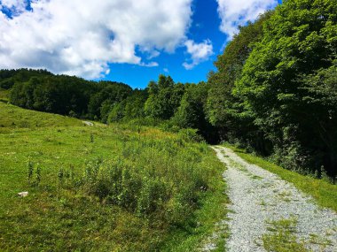 Güzel yollar ve göller ile Musa Koni Park Blowing Rock Nc bulunan ve tekstil servetini yaptı Musa Koni eski ülke emlak. 