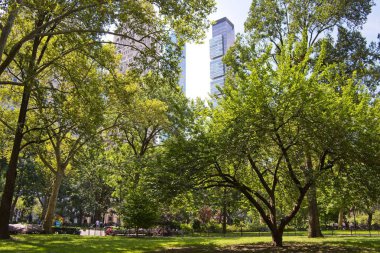 New York'taki Madison Square Park, 23rd Street ve Broadway'de bulunan ve aktif bir mahalle destek grubu ve yakınlardaki restoranları olan popüler bir dinlenme alanı tarafından güzel bir şekilde korunan halka açık bir parktır..