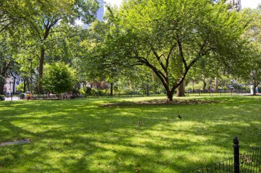 New York'taki Madison Square Park, 23rd Street ve Broadway'de bulunan ve aktif bir mahalle destek grubu ve yakınlardaki restoranları olan popüler bir dinlenme alanı tarafından güzel bir şekilde korunan halka açık bir parktır..