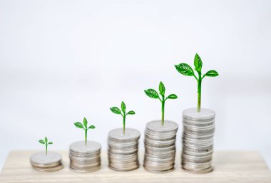 5 sıra lık sikkeler artan sırada düzenlenmiştir. Sikkeüzerine fide.