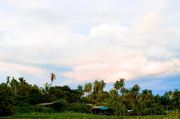 House River Riverside Nature Thailand Sky Evening — Stock Photo, Image