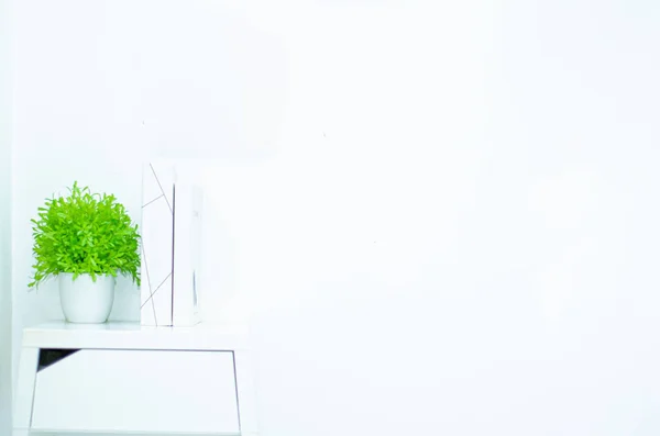 Small White Flower Pots Small Green Trees Room Copy Space — Stock Photo, Image