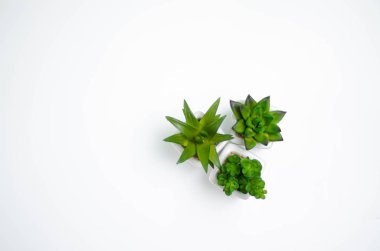 Yerde kavramsal nesne.