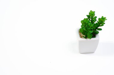 Yerde kavramsal nesne.