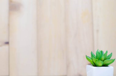 Yerde kavramsal nesne.