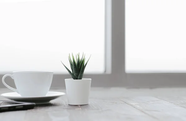 Caneca Café Branco Está Madeira Marrom Pequenas Plantas Verdes Vasos Imagem De Stock