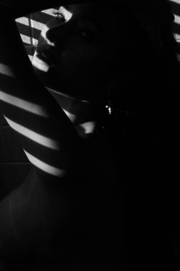 Kıyafet giymeyen güzel kadınlar, siyah-beyaz resim geliştirme ve resme tahıl ekleme. Kadın resimleri, çıplak sanatlar..