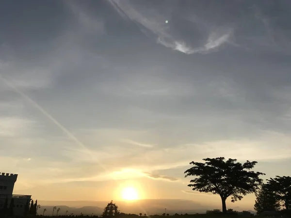 Árbol Silueta Con Salida Del Sol — Foto de Stock