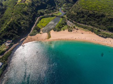 Waimea Körfezi manzaralı Oahu Hawaii
