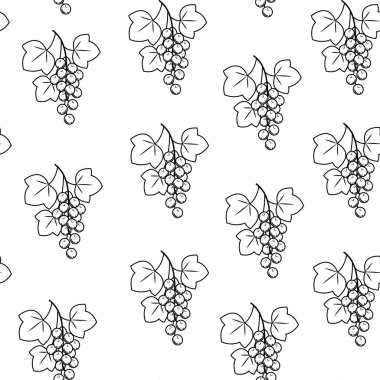 Beyaz arka planda dal frenk üzümü. Güzel resim. Hediye paketi. Mutfakta duvar kağıdı için uygundur. Vektör çizimi