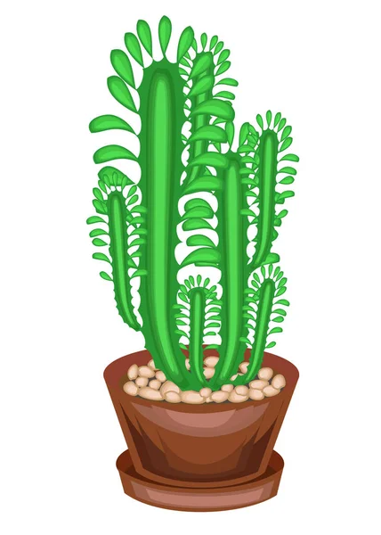 Plante en pot dans un pot. Quelques verts de branches d'un succulent, un cactus. Tiges verticales hautes avec facettes et épines. Beau passe-temps pour les collectionneurs de cactus. Illustration vectorielle — Image vectorielle