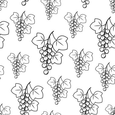 Beyaz arka planda dal frenk üzümü. Güzel resim. Hediye paketi. Mutfakta duvar kağıdı için uygundur. Vektör çizimi