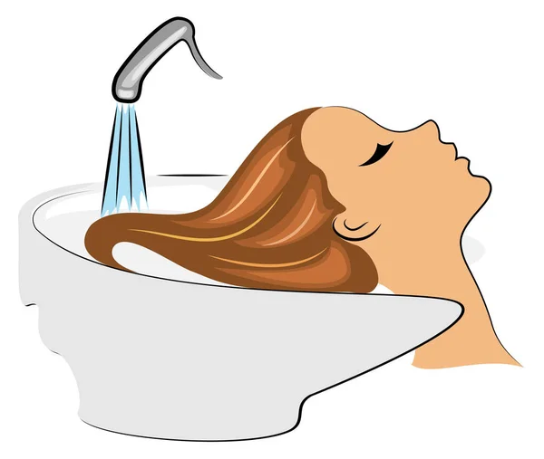 一个漂亮女士的主要特征。美容院的那个女孩理发师洗车时，女人用水洗她的头发。 — 图库矢量图片