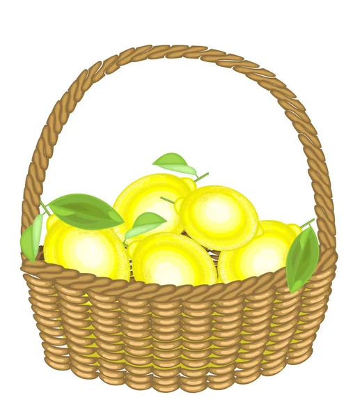 Un raccolto generoso. Limoni freschi e succosi in un cesto. Il frutto è saporito e profumato. Il trattamento raffinato fa bene alla salute. Illustrazione vettoriale — Vettoriale Stock