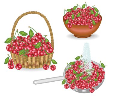 Koleksiyon. Zengin bir kiraz hasadı. Bir sepetiçinde taze çilek, bir dere altında yıkanmış, bir kase koymak. Meyve çok lezzetli ve vitamin. Vektör çizimleri kümesi