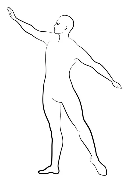 Silueta de un chico delgado, bailarín de ballet masculino. La bailarina tiene una hermosa figura delgada, un cuerpo fuerte. Ilustración vectorial . — Archivo Imágenes Vectoriales