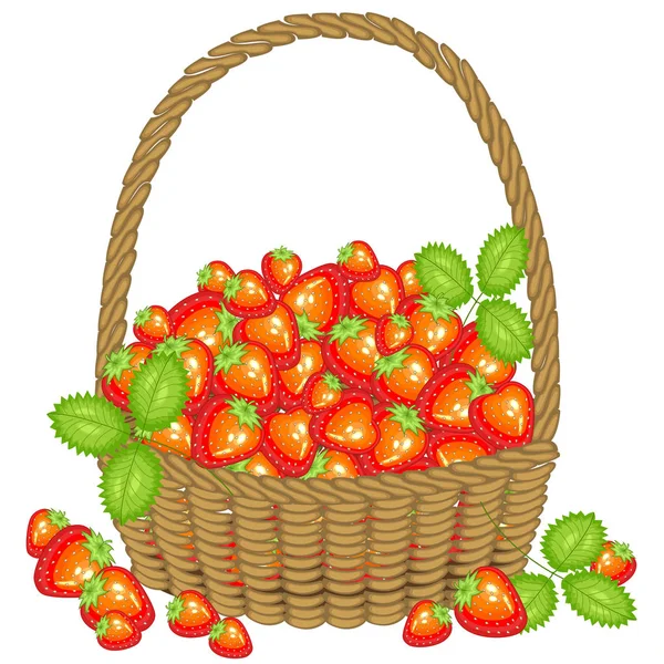 Recolhi uma colheita generosa. Uma cesta cheia de bagas suculentas maduras. Morango vermelho bonito fresco, uma fonte de vitaminas e prazer. Ilustração vetorial —  Vetores de Stock