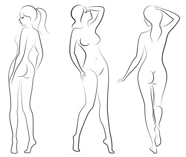Koleksiyon. Tatlı bir bayanın silueti. Bir kadın seksi ve ince bir modeldir. Vektör çizimleri kümesi.