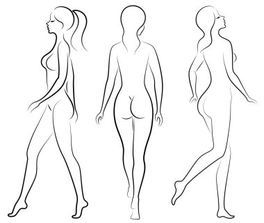 Koleksiyon. Tatlı bir bayanın silueti. Bir kadın seksi ve ince bir modeldir. Vektör çizimleri kümesi.