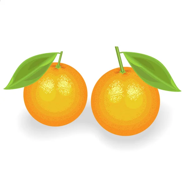 Naranjas dulces y jugosas. Dos frutas maduras. Tratar para el sabor más refinado. La fuente de vitaminas y oligoelementos. Ilustración vectorial — Vector de stock
