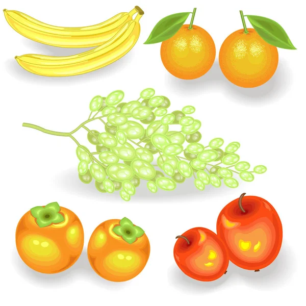 Dolce frutta succosa per tutti i gusti. Banane fresche, cachi, arance, mele, uva. La fonte di vitamine e oligoelementi. Illustrazione vettoriale — Vettoriale Stock