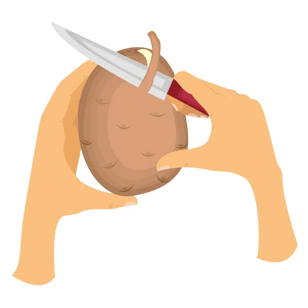 Patateslerin kabuğundan nasıl soyulduğunu hayal edin. Sol el patates tutar, sağ el bıçak tutar ve yavaşça deri keser. Vektör çizimi.