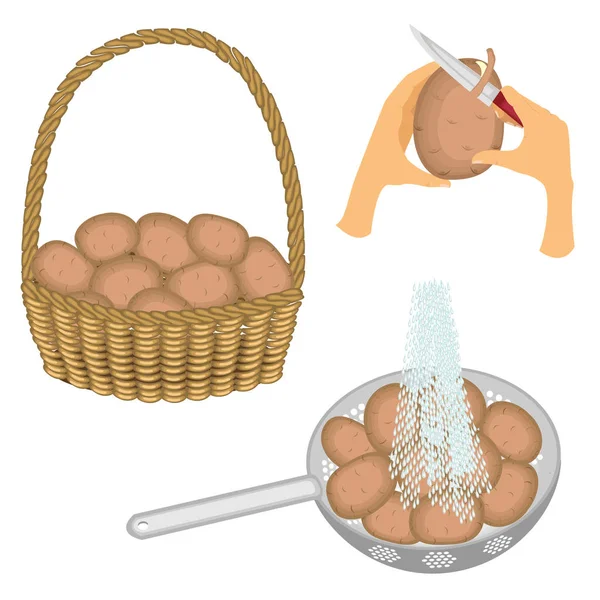 Una raccolta di patate. Le patate vengono conservate in un cesto, lavate sotto l'acqua corrente e pulite con un coltello. Insieme illustrazione vettoriale — Vettoriale Stock
