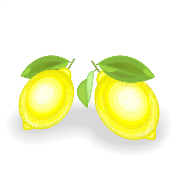 Citrons juteux mûrs. Deux fruits mûrs. Un régal aromatique. La source de vitamines et d'oligo-éléments. Illustration vectorielle — Image vectorielle