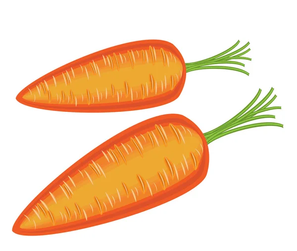 Beau légume rouge mûr. Carottes savoureuses juteuses, une source de vitamines utiles. Image couleur. Illustration vectorielle — Image vectorielle