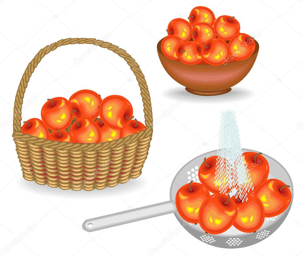 Collection. A generous harvest of apples. Fresh fruits in a basket, washed under a stream of water, put in a bowl. The fruit is very tasty and vitamin. Set of vector illustrations