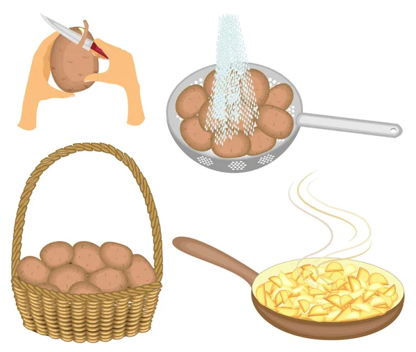 Collezione. Le patate vengono conservate in un cesto, lavate sotto l'acqua corrente, pulite con un coltello e fritte in una padella. Serie di illustrazioni vettoriali — Vettoriale Stock