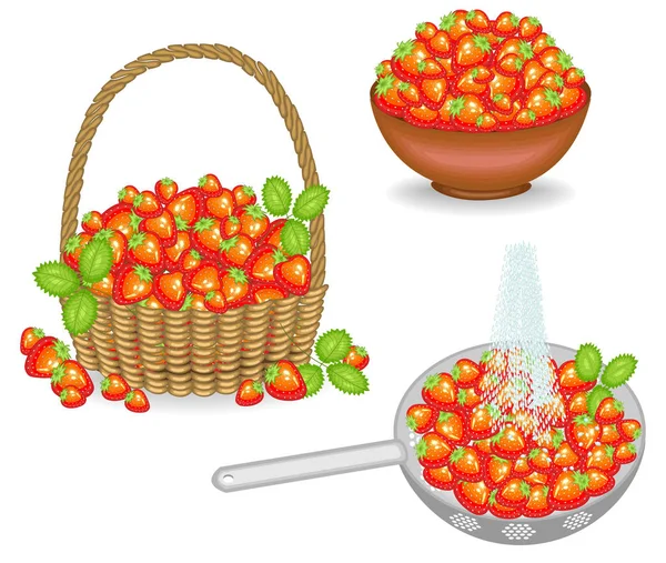 Collezione. Un ricco raccolto di fragole. Le bacche fresche in un cesto, lavate sotto una corrente d'acqua, inseriscono una boccia. Il frutto è molto gustoso e vitaminico. Serie di illustrazioni vettoriali — Vettoriale Stock