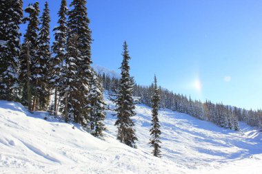 Karlı bir kış harikalar diyarında güneşli bir gün