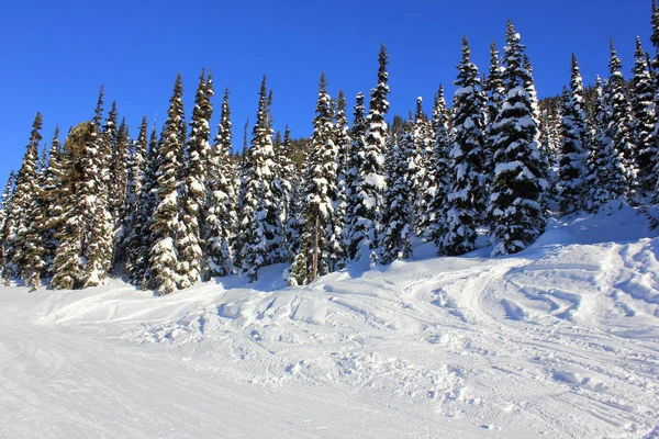 Sunny day in a snowy winter wonderland — Stock Photo, Image